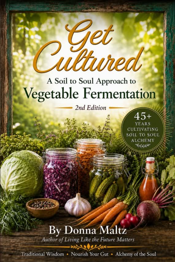 Get Cultured — A Soil to Soul Approach to Vegetable Fermentation, 2nd Edition, by Donna Maltz